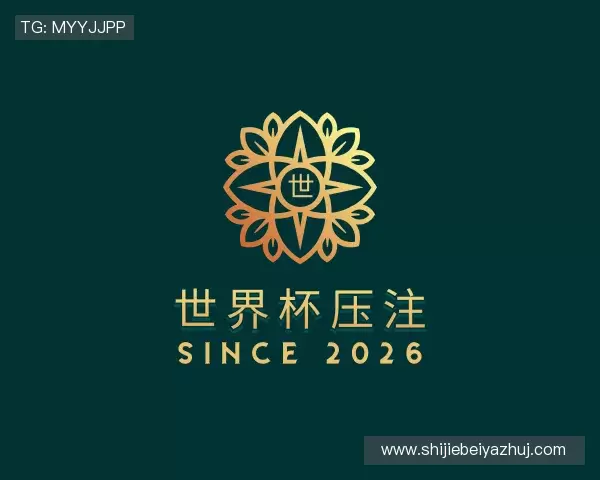 介绍世界杯压注
